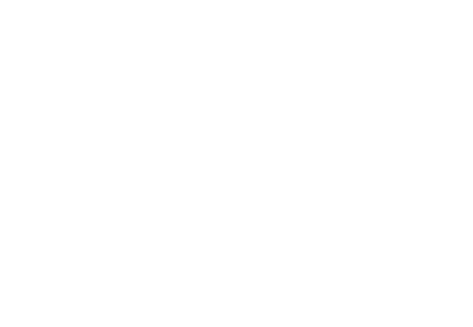 GOLDFISH LOGO | nashville nonprofit, charity organization